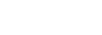 PALOALTO - 02